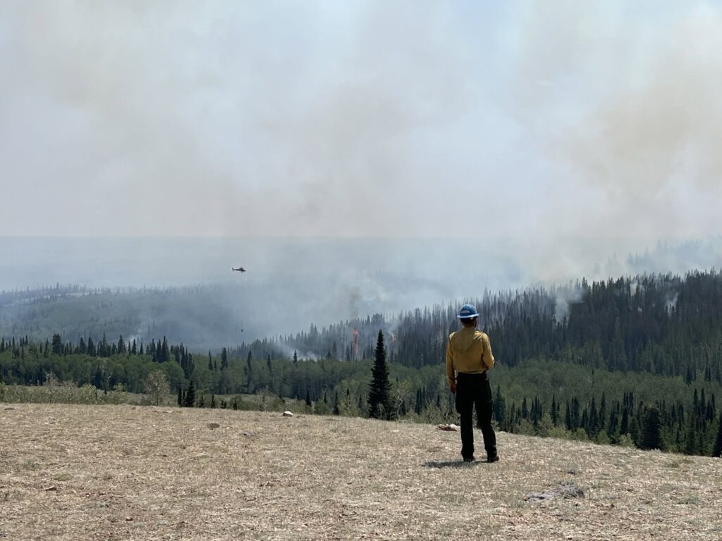 Bare Fire knocked down to 443 acres