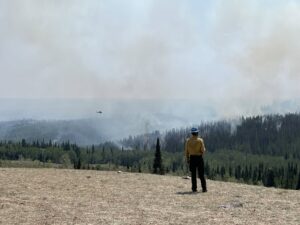 Bare Fire knocked down to 443 acres