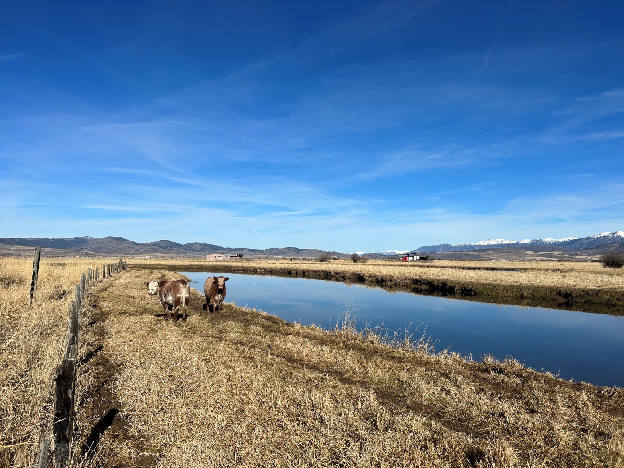SVI Radio Interview: Tanner Belknap – Star Valley Trout Unlimited Clark’s Barn Project