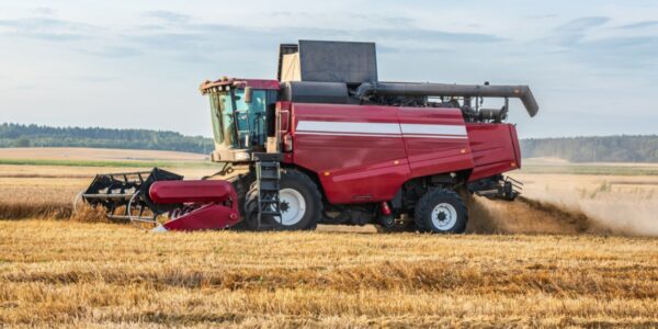 A side view of a red combine harvester harvesting wheat in a large agricultural crop field during the day.